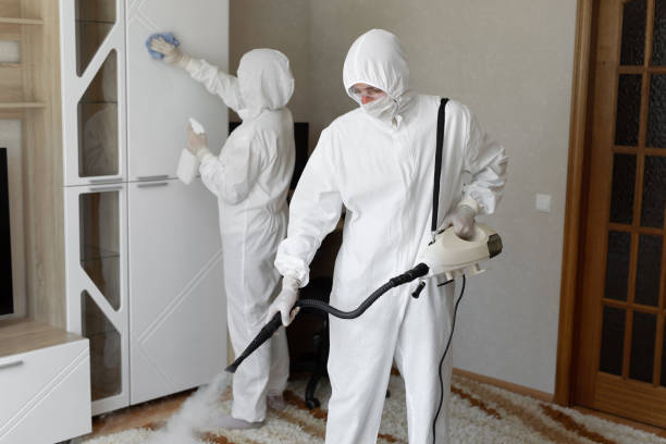 24/7 Emergency Odor Removal experts in Hyde Park, PA